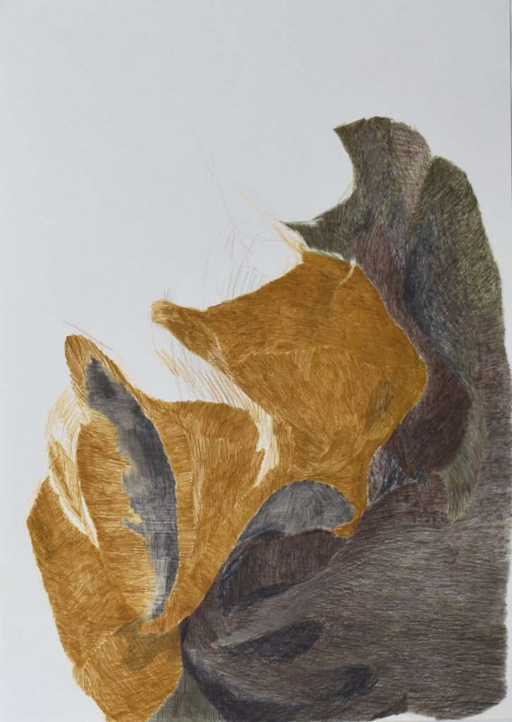 trawinski serie corps