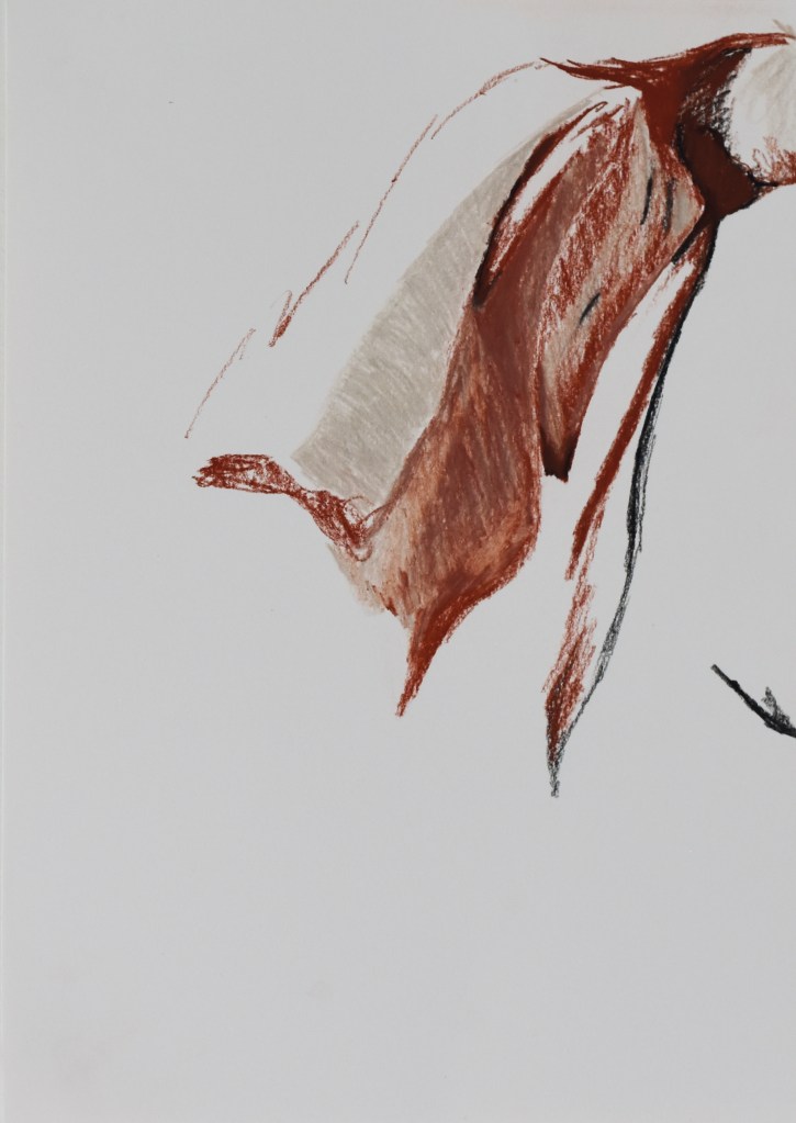 trawinski serie nouer