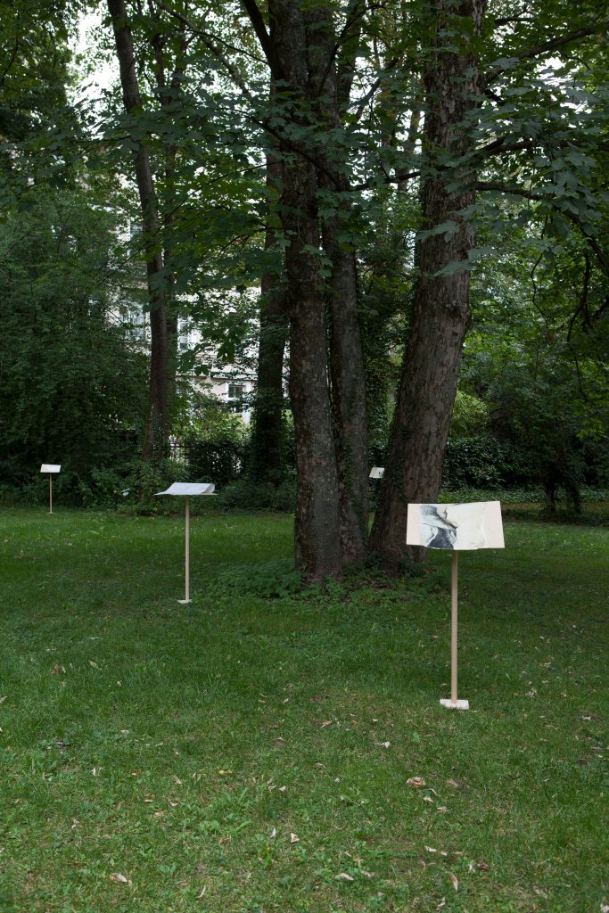 trawinski meeting place