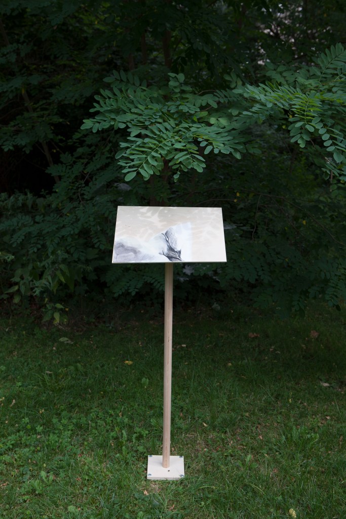 trawinski meeting place