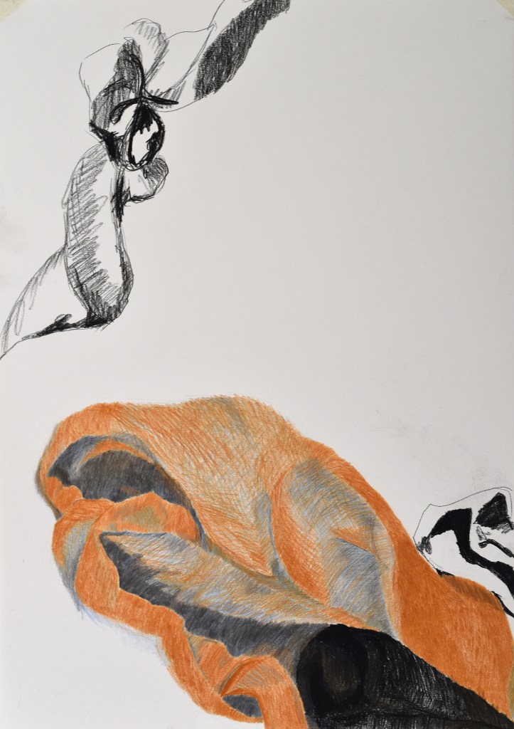 trawinski serie nouer