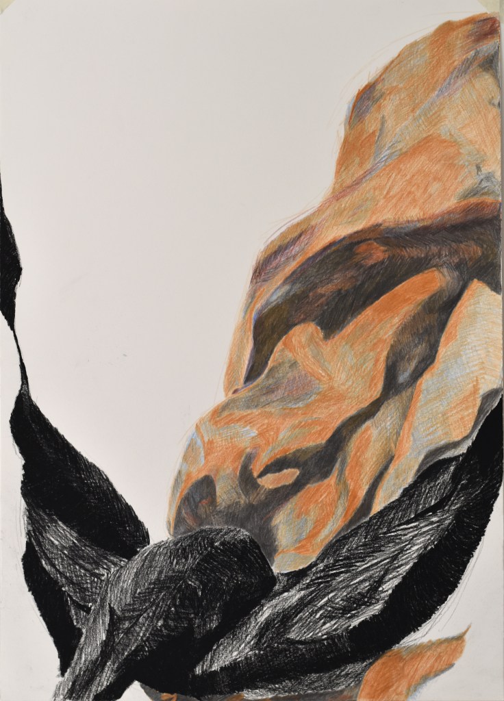 trawinski serie nouer